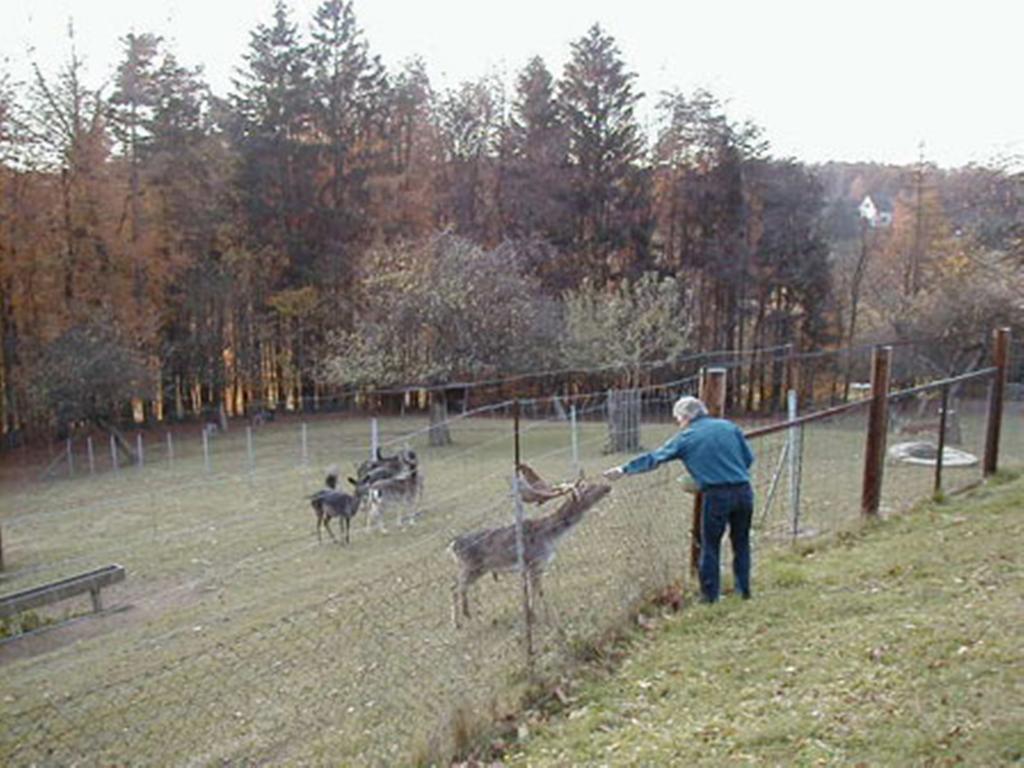 Pension Weber イェナースドルフ エクステリア 写真